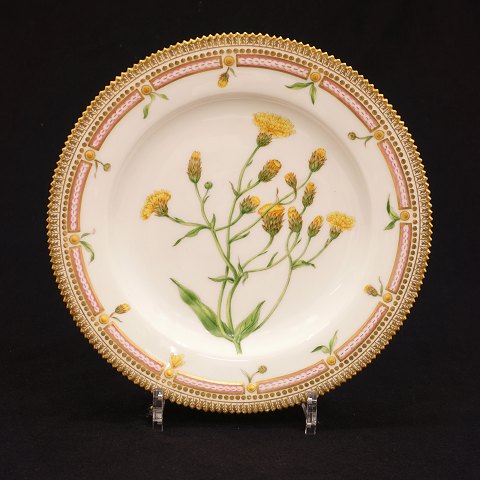 Früher Flora Danica Mittagsteller von Royal 
Copenhagen aus der Periode 1870-90. "Hieracium 
umbellatum L". D: 25cm