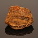 Stor klump rav fundet på Rømø. 352gr. 12x11cm
