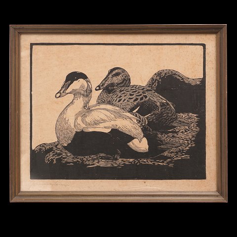 Johannes Larsen, 1867-1961, træsnit. "To Edderfugle". Signeret. Lysmål: 37x47cm. Med ramme: 48x58cm
