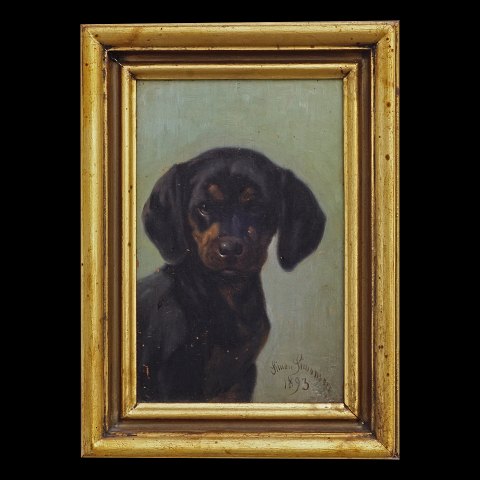 Simon Simonsen gravhund. Simon Simonsen, 
1841-1928, olie på plade. Signeret og dateret 
1893. Lysmål: 17,5x11cm. Med ramme: 23,5x17cm