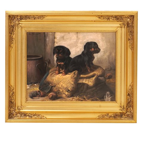 Simon Simonsen gravhunde. Simon Simonsen, 
1841-1928, olie på lærred. Motiv i form af to 
gravhunde. Signeret og dateret 1889. Lysmål: 
31x39cm. Med ramme: 50x58cm